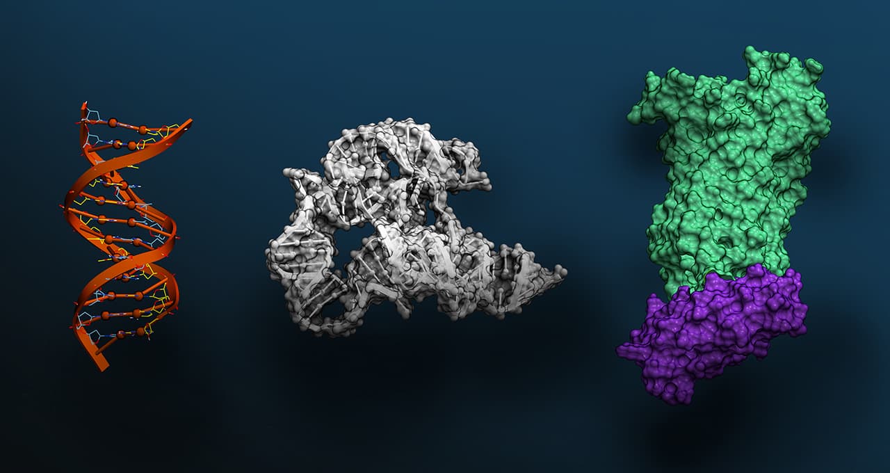 AI Writes New Virus DNA: Stanford and Arc Institute's DNA Language Model