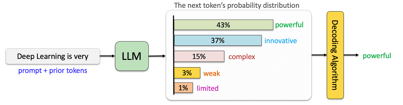 Decoding the First Token Fixation: How LLMs Develop Structural Attention Biases