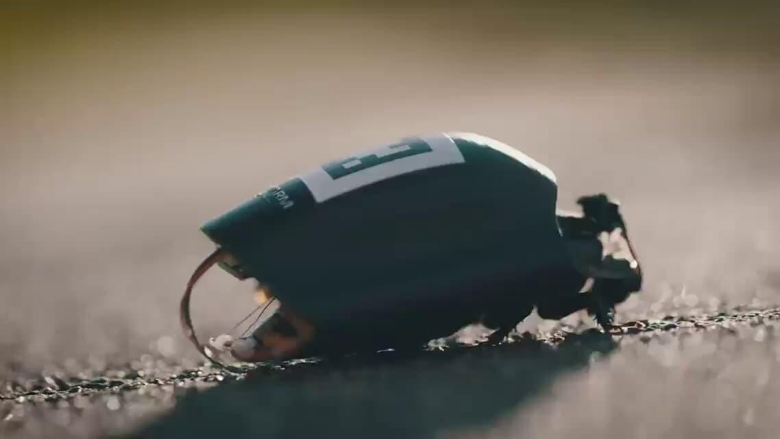 Cyborg Cockroaches: NATO's AI-Powered Insect Scouts Redefine Surveillance