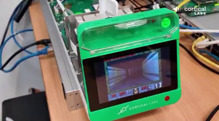 Biological Computing Breakthrough: Human Neurons Play DOOM in Petri Dish