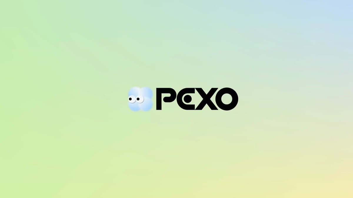 OpenClaw's Pexo Agent Generates Videos Directly Within Telegram, Discord, and WhatsApp