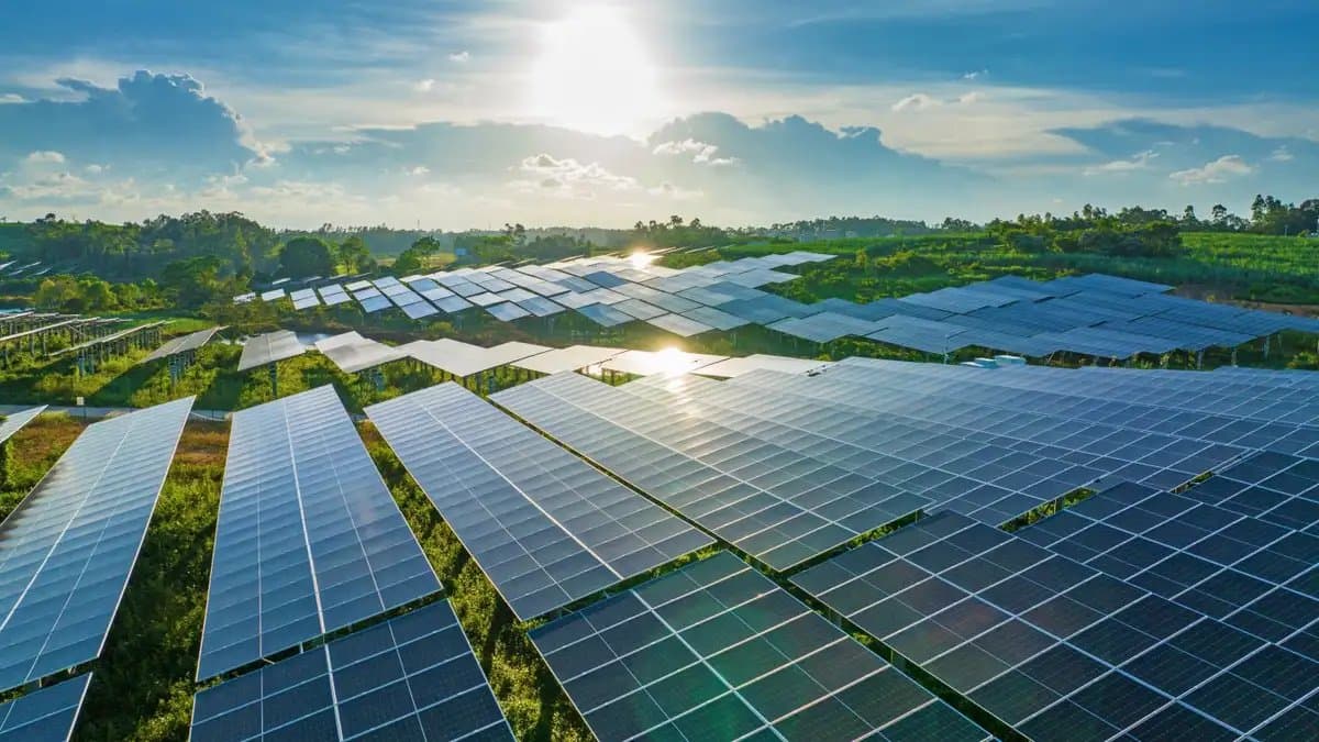 Vast solar panel farm stretches toward horizon under bright blue sky, with rows of photovoltaic arrays reflecting…
