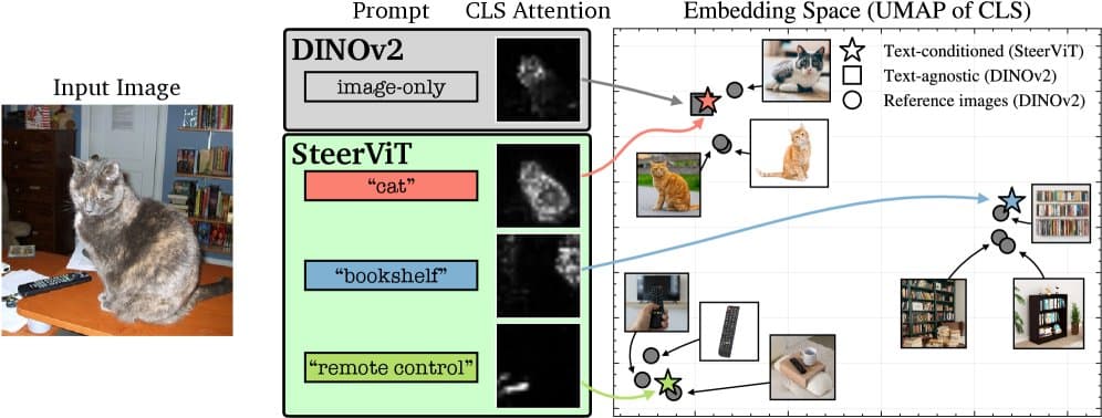 A Vision Transformer model diagram with highlighted attention maps, showing a user typing a natural language…