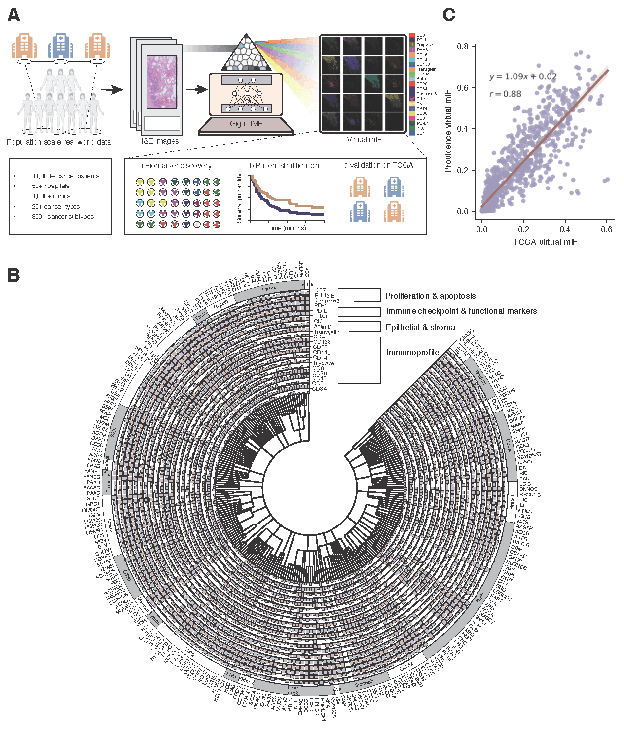 Microsoft Releases GigaTIME: AI Model Generates Protein Maps from Standard Medical Images